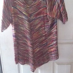 Multi color sweater (womens)